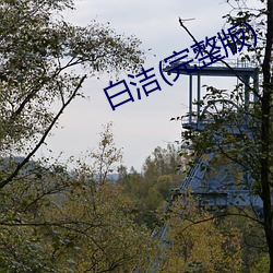 白潔(完整版)