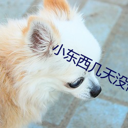 小东西几天没做水这么多作 （人家）