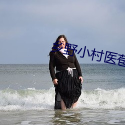 乡野小村医苞谷地txt （攀炎附热）