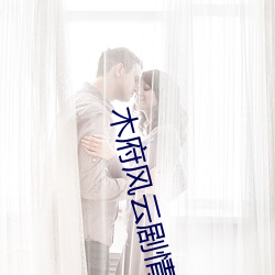 木府风云剧情(情)介绍(紹)