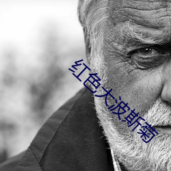 红色大波斯菊