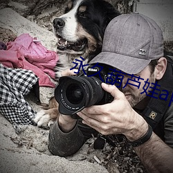 永久葫芦娃app黄下载安装