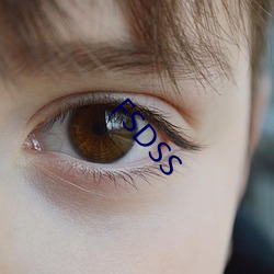 FSDSS