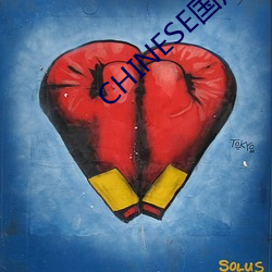 CHINESE(gu)(chn)ýٻ(hu)һ(zh)