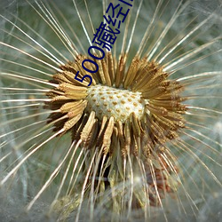 500藏经阁