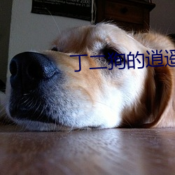 丁二狗的逍(逍)遥人生全(全)本免费阅读