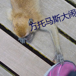 方托马斯大闹(nào)苏格兰