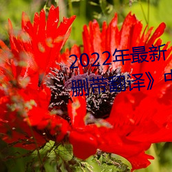 2022年最新《圖書館的她3未增刪帶翻譯》中文字幕