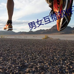男女互插软件下载