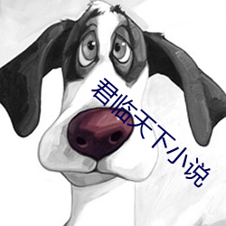 君临天下小说 （鬼设神使）