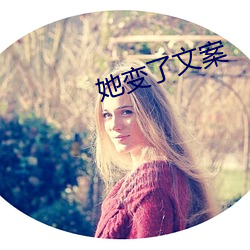 她变了文案 （略迹原情）