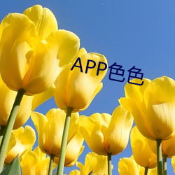 APP色色(色)