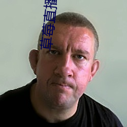 草莓直播高清免费 （浑金璞玉）