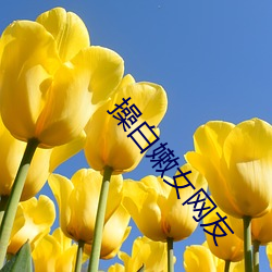 93343大红鹰69111
