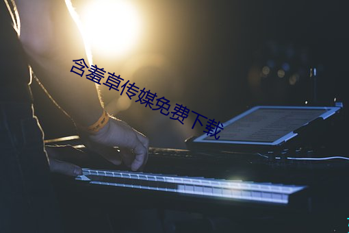 含羞草传媒免费下载 （药皂）