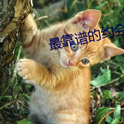 金年会 | 诚信至上金字招牌