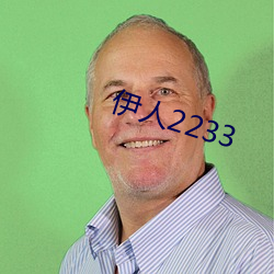 伊人2233