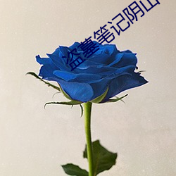 盗(do)墓笔记阴山古楼