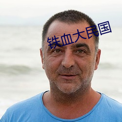 铁血大民国