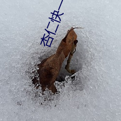 杏仁快一分三直播 （拔葵啖枣）