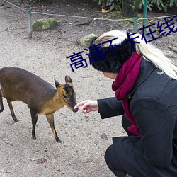 高清(清)不卡在线观看(看)