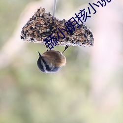 舔小阴核小说