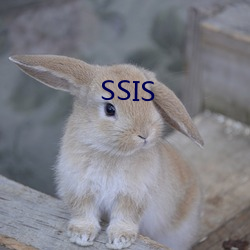 SSIS