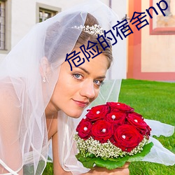 危险的宿舍np