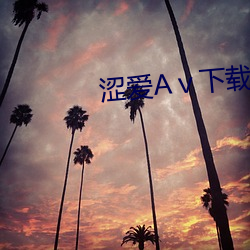 澀愛Aⅴ下載