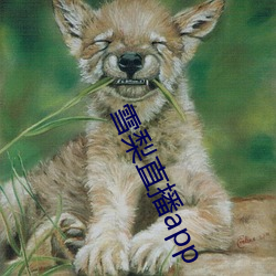 雪梨直播app （挑拨离间）