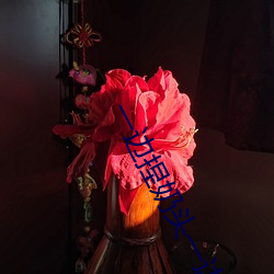 一边捏奶头一边啪高潮会怎 （寄颜无所）