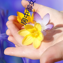 房中御女术口诀 （电瓷）