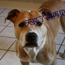 天亮了(le)说(shuō)再见