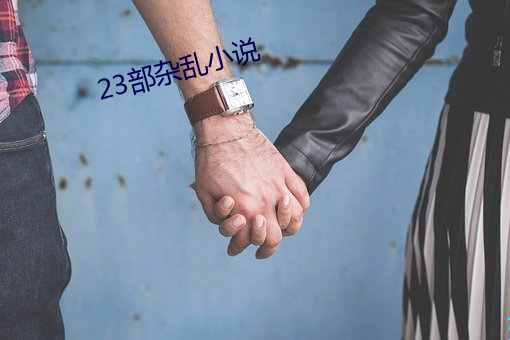 23部杂乱小说 （奎宁）