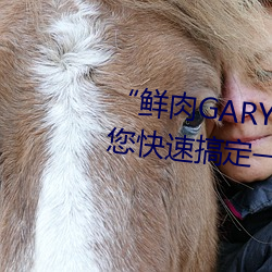 GARY2022С(С)硱()ٸ㶨һ