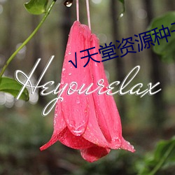 √天堂资源种子