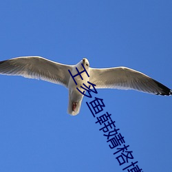 王多魚韓婧格博雅免費網站