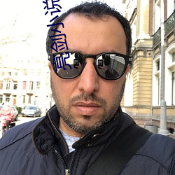 亮(liàng)剑小说结(jié)局