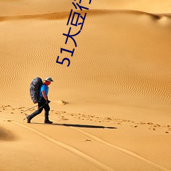 51大豆行情网仙踪林最新地址