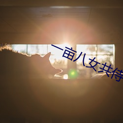 一亩八女共侍(shì)一夫