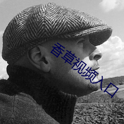 香草视频入口 （枯鱼之肆）