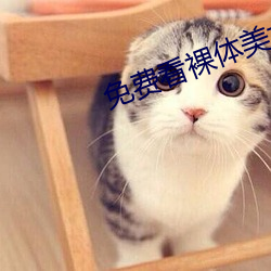 免費看裸體美女app大全
