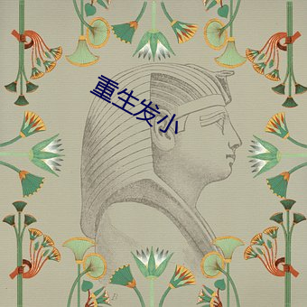 重(zhòng)生发小