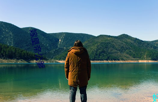 嫁皇帝公爹 （轮滑）