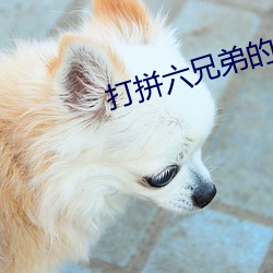 打拼六兄弟的血色往(wǎng)事