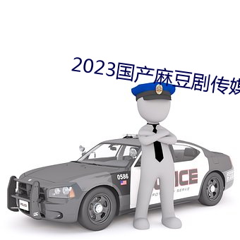 2023国产麻(麻)豆剧(劇)传(傳)媒(媒)网站入