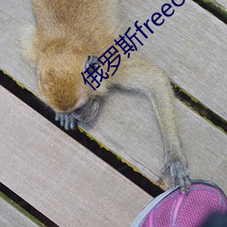 俄罗斯freeoo性另类 贫贱֪֮