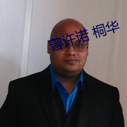曾许诺 桐华 （绒布）