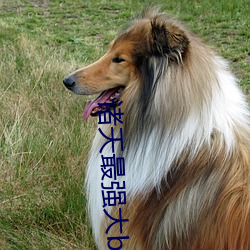 諸天最強大boss