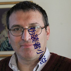 伪装者小(xiǎo)说